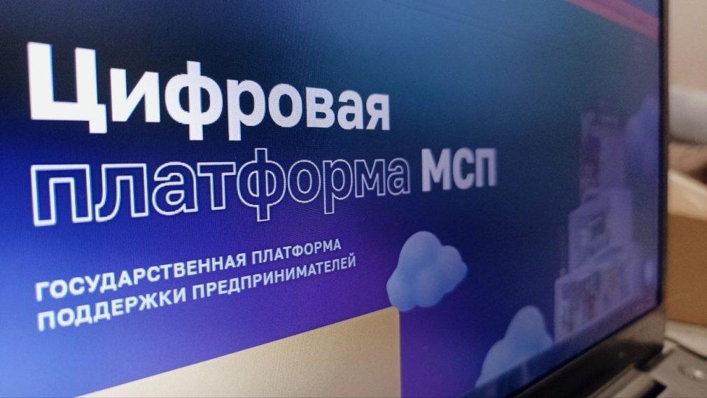 Цифровая платформа МСП