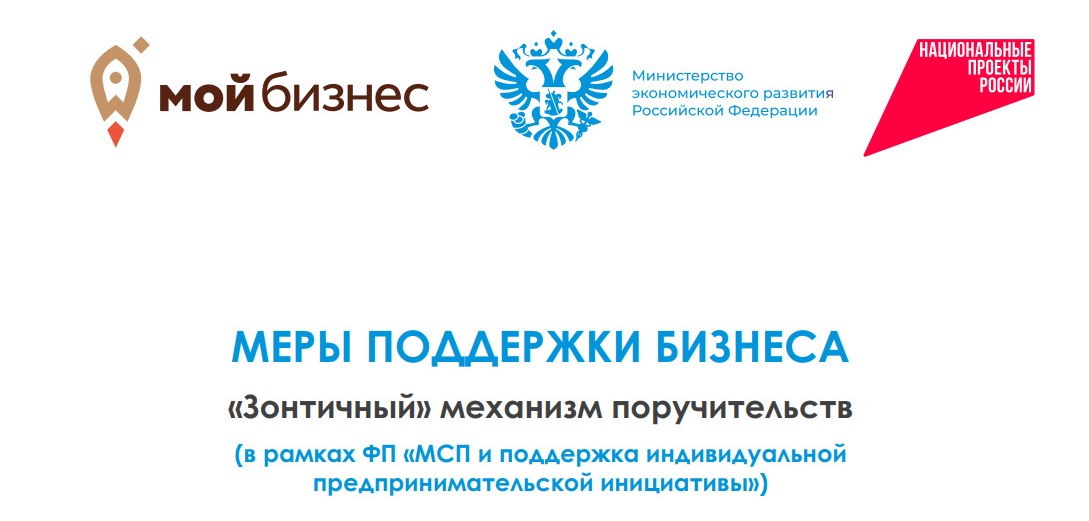 Бизнес Мордовии может рассчитывать на финансовую поддержку при помощи «зонтичных» поручительств 
